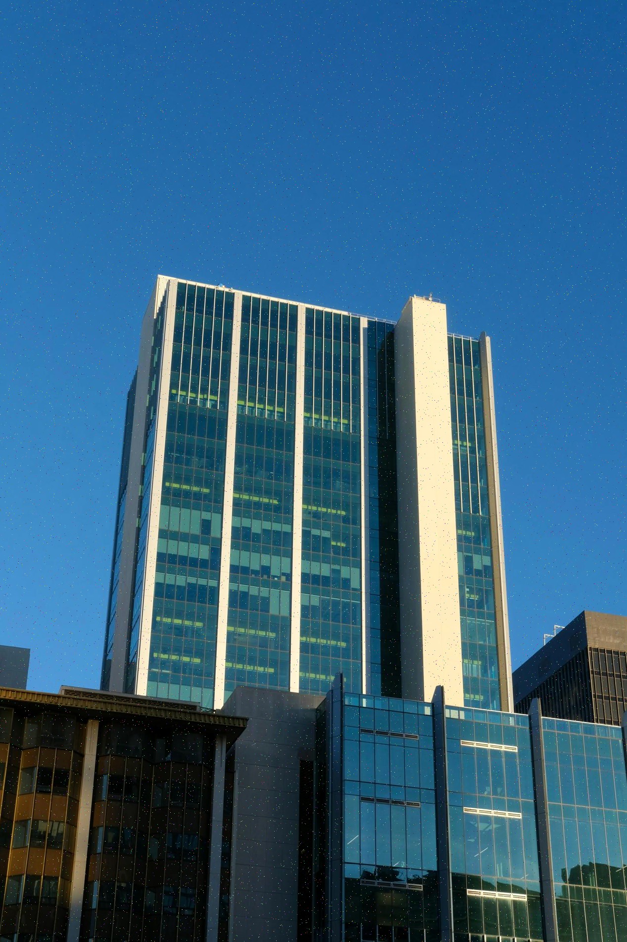 Automotive business consultation